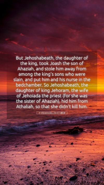 Picture 05 - 2 Chronicles 22:11 WEB Mobile Phone Wallpaper - But Jehoshabeath, the daughter of the king, took - Mobile Bible Verse Wallpaper