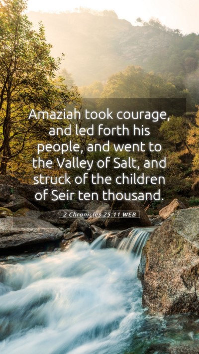 Picture 05 - 2 Chronicles 25:11 WEB Mobile Phone Wallpaper - Amaziah took courage, and led forth his people, - Mobile Bible Verse Wallpaper