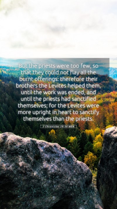 Picture 05 - 2 Chronicles 29:34 WEB Mobile Phone Wallpaper - But the priests were too few, so that they could - Mobile Bible Verse Wallpaper