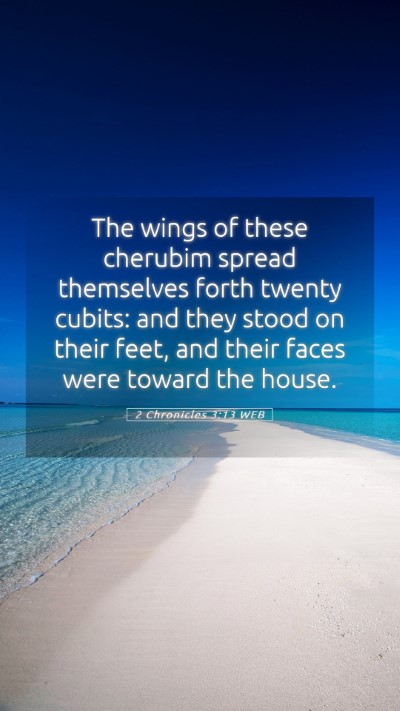 Picture 05 - 2 Chronicles 3:13 WEB Mobile Phone Wallpaper - The wings of these cherubim spread themselves - Mobile Bible Verse Wallpaper