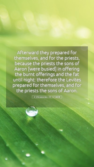 Picture 05 - 2 Chronicles 35:14 WEB Mobile Phone Wallpaper - Afterward they prepared for themselves, and for - Mobile Bible Verse Wallpaper