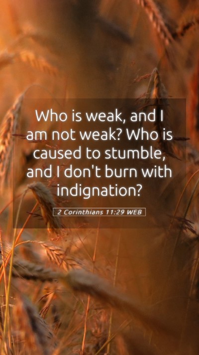 Picture 05 - 2 Corinthians 11:29 WEB Mobile Phone Wallpaper - Who is weak, and I am not weak? Who is caused to - Mobile Bible Verse Wallpaper