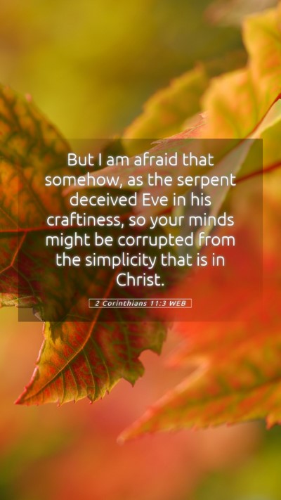 Picture 05 - 2 Corinthians 11:3 WEB Mobile Phone Wallpaper - But I am afraid that somehow, as the serpent - Mobile Bible Verse Wallpaper