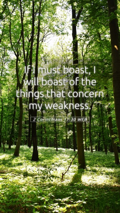 Picture 05 - 2 Corinthians 11:30 WEB Mobile Phone Wallpaper - If I must boast, I will boast of the things that - Mobile Bible Verse Wallpaper