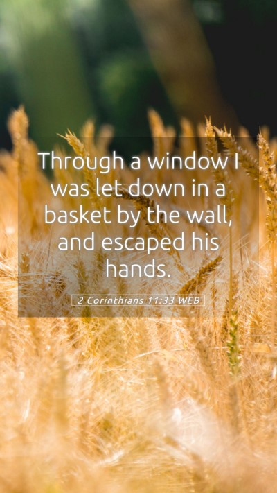 Picture 05 - 2 Corinthians 11:33 WEB Mobile Phone Wallpaper - Through a window I was let down in a basket by - Mobile Bible Verse Wallpaper