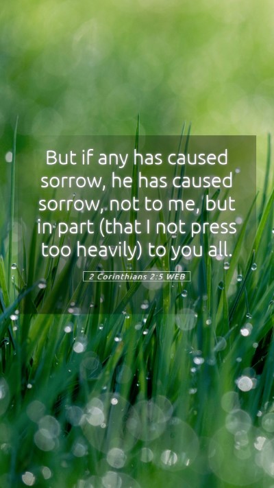 Picture 05 - 2 Corinthians 2:5 WEB Mobile Phone Wallpaper - But if any has caused sorrow, he has caused - Mobile Bible Verse Wallpaper
