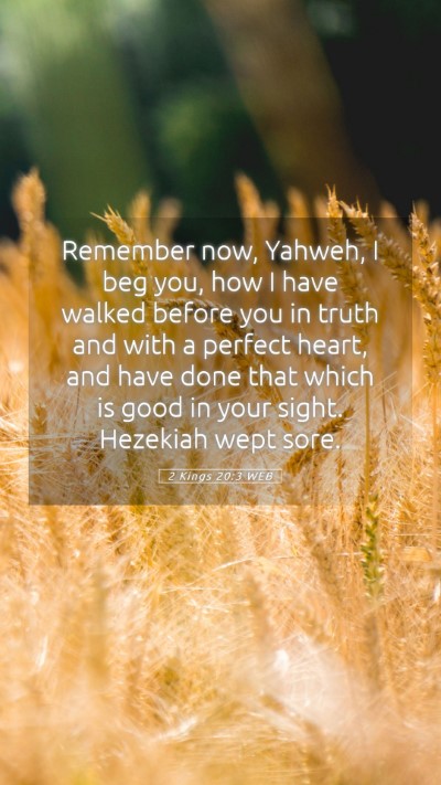 Picture 05 - 2 Kings 20:3 WEB Mobile Phone Wallpaper - Remember now, Yahweh, I beg you, how I have - Mobile Bible Verse Wallpaper
