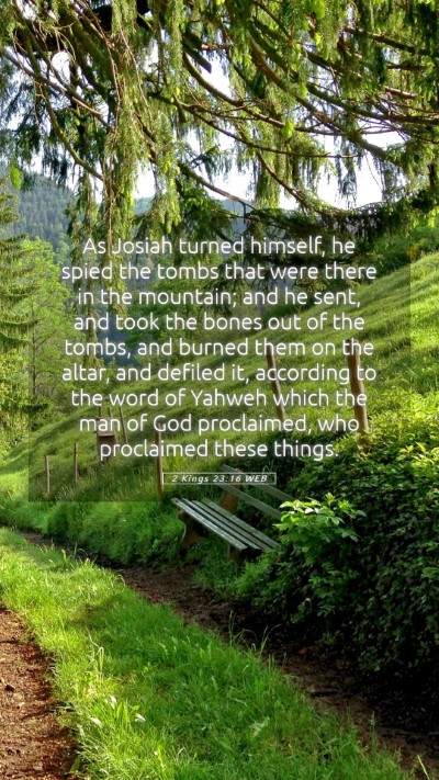 Picture 05 - 2 Kings 23:16 WEB Mobile Phone Wallpaper - As Josiah turned himself, he spied the tombs that - Mobile Bible Verse Wallpaper