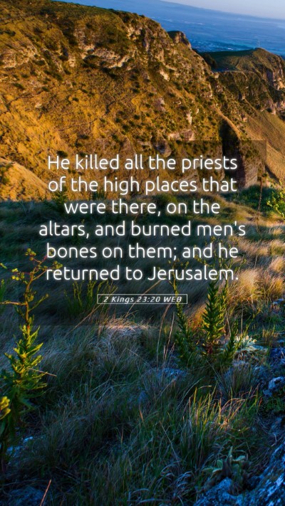 Picture 05 - 2 Kings 23:20 WEB Mobile Phone Wallpaper - He killed all the priests of the high places that - Mobile Bible Verse Wallpaper