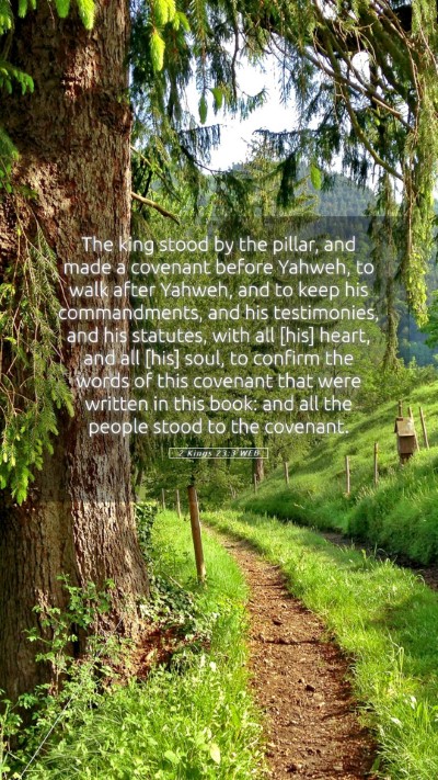 Picture 05 - 2 Kings 23:3 WEB Mobile Phone Wallpaper - The king stood by the pillar, and made a covenant - Mobile Bible Verse Wallpaper