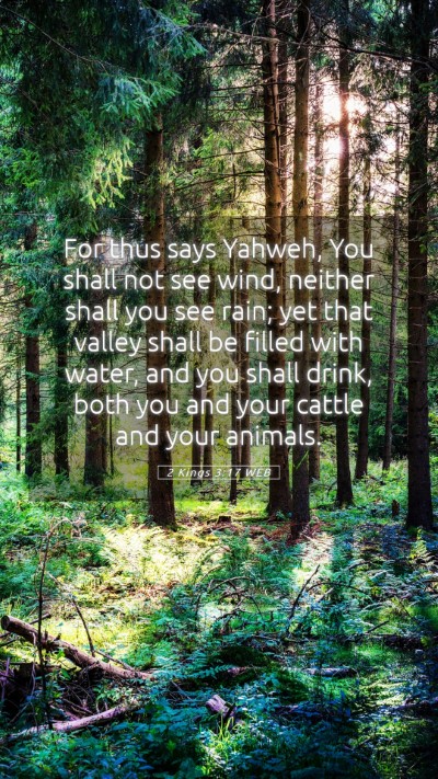 Picture 05 - 2 Kings 3:17 WEB Mobile Phone Wallpaper - For thus says Yahweh, You shall not see wind, - Mobile Bible Verse Wallpaper