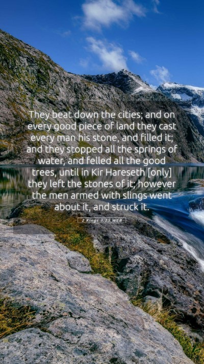 Picture 05 - 2 Kings 3:25 WEB Mobile Phone Wallpaper - They beat down the cities; and on every good - Mobile Bible Verse Wallpaper