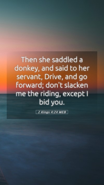 Picture 05 - 2 Kings 4:24 WEB Mobile Phone Wallpaper - Then she saddled a donkey, and said to her - Mobile Bible Verse Wallpaper