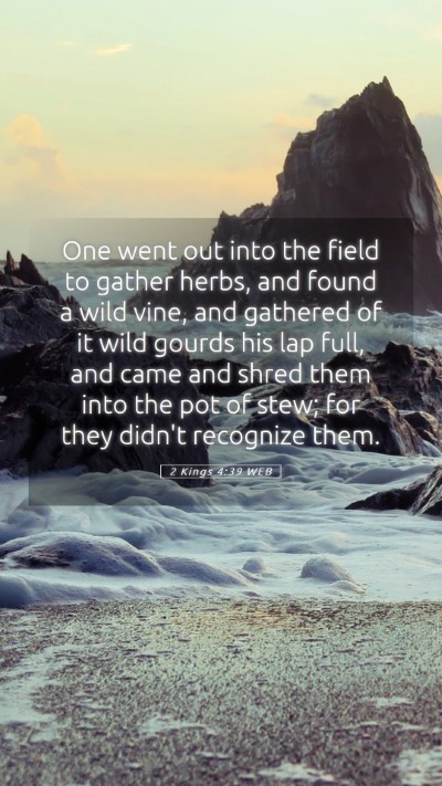 Picture 05 - 2 Kings 4:39 WEB Mobile Phone Wallpaper - One went out into the field to gather herbs, and - Mobile Bible Verse Wallpaper