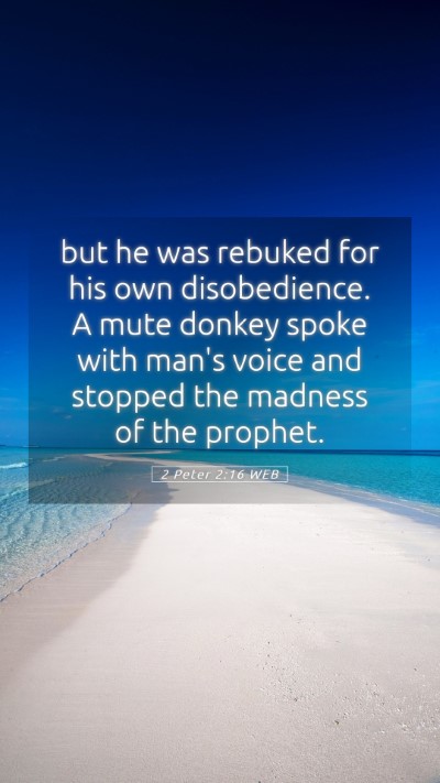 Picture 05 - 2 Peter 2:16 WEB Mobile Phone Wallpaper - but he was rebuked for his own disobedience. A - Mobile Bible Verse Wallpaper