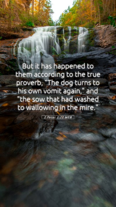 Picture 05 - 2 Peter 2:22 WEB Mobile Phone Wallpaper - But it has happened to them according to the true - Mobile Bible Verse Wallpaper