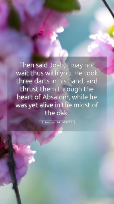 Picture 05 - 2 Samuel 18:14 WEB Mobile Phone Wallpaper - Then said Joab, I may not wait thus with you. He - Mobile Bible Verse Wallpaper