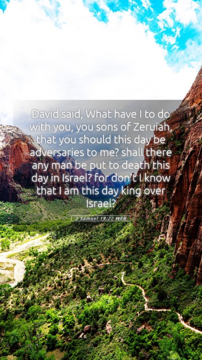 Picture 05 - 2 Samuel 19:22 WEB Mobile Phone Wallpaper - David said, What have I to do with you, you sons - Mobile Bible Verse Wallpaper