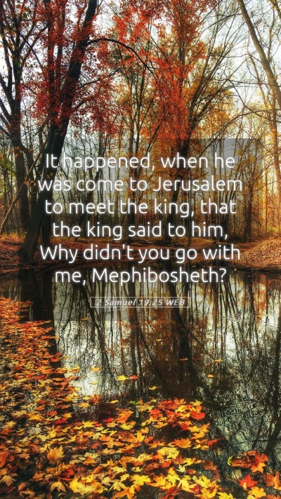 Picture 05 - 2 Samuel 19:25 WEB Mobile Phone Wallpaper - It happened, when he was come to Jerusalem to - Mobile Bible Verse Wallpaper