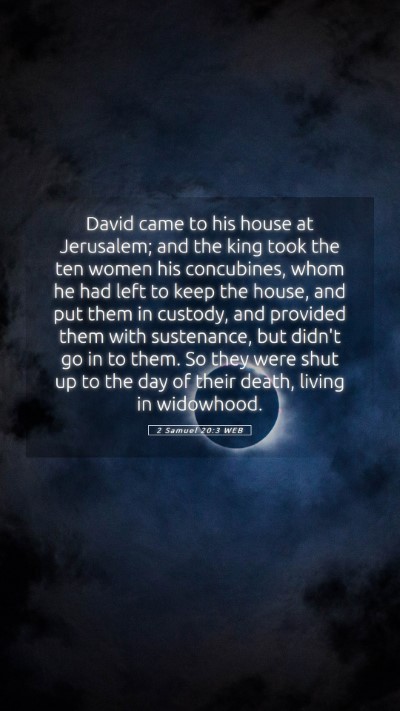 Picture 05 - 2 Samuel 20:3 WEB Mobile Phone Wallpaper - David came to his house at Jerusalem; and the - Mobile Bible Verse Wallpaper