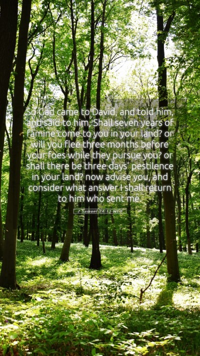 Picture 05 - 2 Samuel 24:13 WEB Mobile Phone Wallpaper - So Gad came to David, and told him, and said to - Mobile Bible Verse Wallpaper