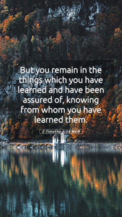 Picture 05 - 2 Timothy 3:14 WEB Mobile Phone Wallpaper - But you remain in the things which you have - Mobile Bible Verse Wallpaper