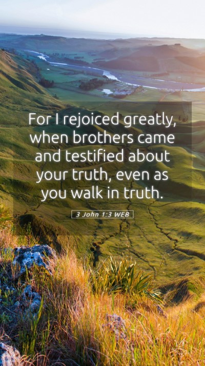 Picture 05 - 3 John 1:3 WEB Mobile Phone Wallpaper - For I rejoiced greatly, when brothers came and - Mobile Bible Verse Wallpaper