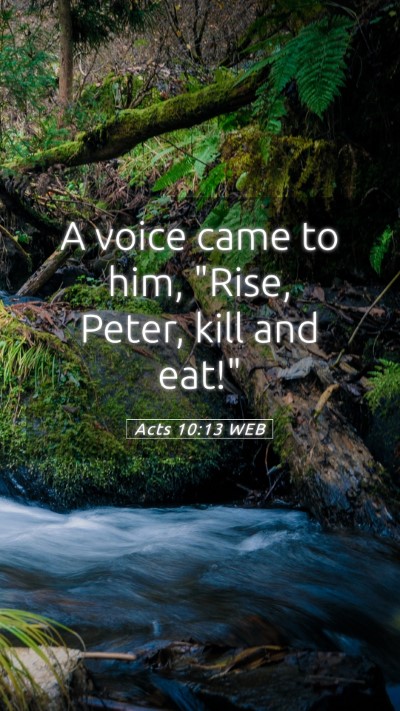 Picture 05 - Acts 10:13 WEB Mobile Phone Wallpaper - A voice came to him, 