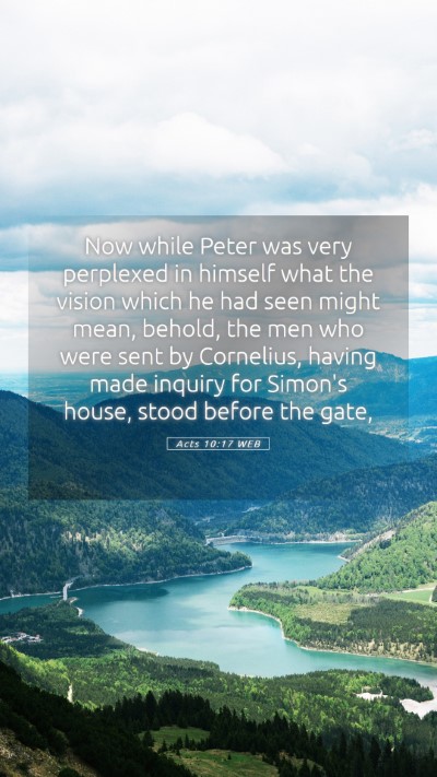 Picture 05 - Acts 10:17 WEB Mobile Phone Wallpaper - Now while Peter was very perplexed in himself - Mobile Bible Verse Wallpaper