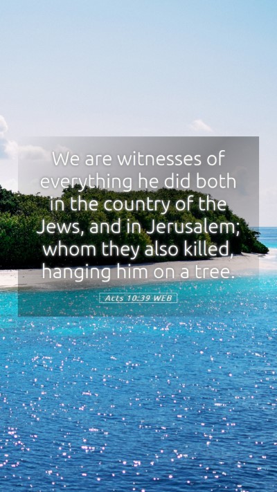Picture 05 - Acts 10:39 WEB Mobile Phone Wallpaper - We are witnesses of everything he did both in the - Mobile Bible Verse Wallpaper