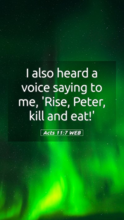 Picture 05 - Acts 11:7 WEB Mobile Phone Wallpaper - I also heard a voice saying to me, 'Rise, Peter, - Mobile Bible Verse Wallpaper