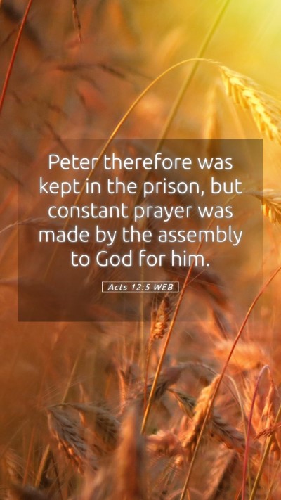 Picture 05 - Acts 12:5 WEB Mobile Phone Wallpaper - Peter therefore was kept in the prison, but - Mobile Bible Verse Wallpaper