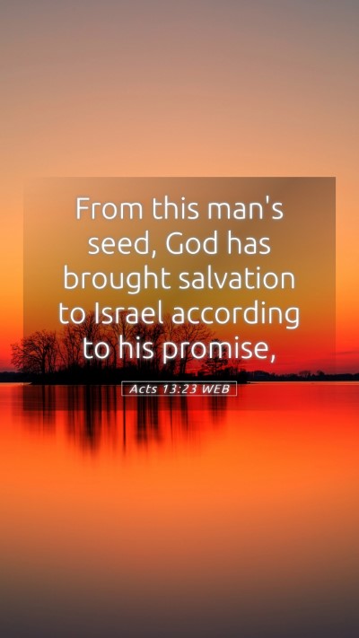 Picture 05 - Acts 13:23 WEB Mobile Phone Wallpaper - From this man's seed, God has brought salvation - Mobile Bible Verse Wallpaper