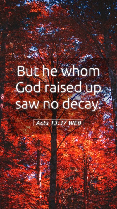 Picture 05 - Acts 13:37 WEB Mobile Phone Wallpaper - But he whom God raised up saw no - Mobile Bible Verse Wallpaper