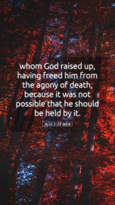Picture 05 - Acts 2:24 WEB Mobile Phone Wallpaper - whom God raised up, having freed him from the - Mobile Bible Verse Wallpaper