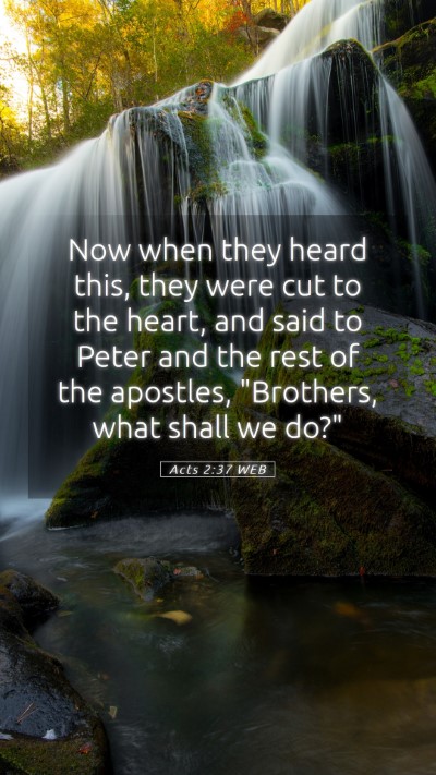 Picture 05 - Acts 2:37 WEB Mobile Phone Wallpaper - Now when they heard this, they were cut to the - Mobile Bible Verse Wallpaper