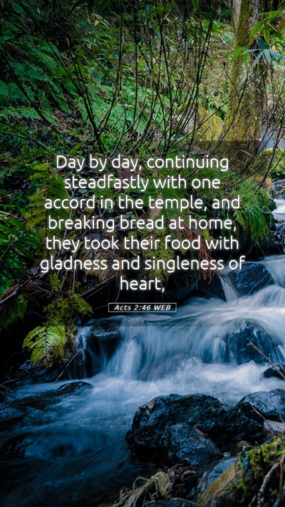 Picture 05 - Acts 2:46 WEB Mobile Phone Wallpaper - Day by day, continuing steadfastly with one - Mobile Bible Verse Wallpaper