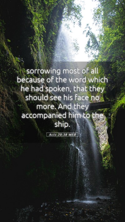 Picture 05 - Acts 20:38 WEB Mobile Phone Wallpaper - sorrowing most of all because of the word which - Mobile Bible Verse Wallpaper