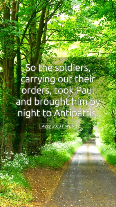 Picture 05 - Acts 23:31 WEB Mobile Phone Wallpaper - So the soldiers, carrying out their orders, took - Mobile Bible Verse Wallpaper