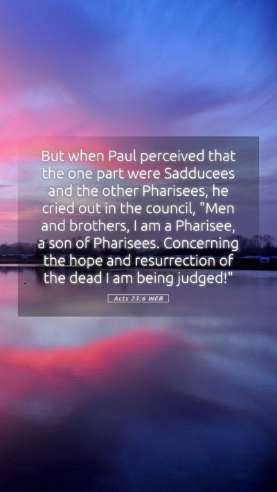 Picture 05 - Acts 23:6 WEB Mobile Phone Wallpaper - But when Paul perceived that the one part were - Mobile Bible Verse Wallpaper