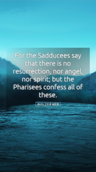 Picture 05 - Acts 23:8 WEB Mobile Phone Wallpaper - For the Sadducees say that there is no - Mobile Bible Verse Wallpaper