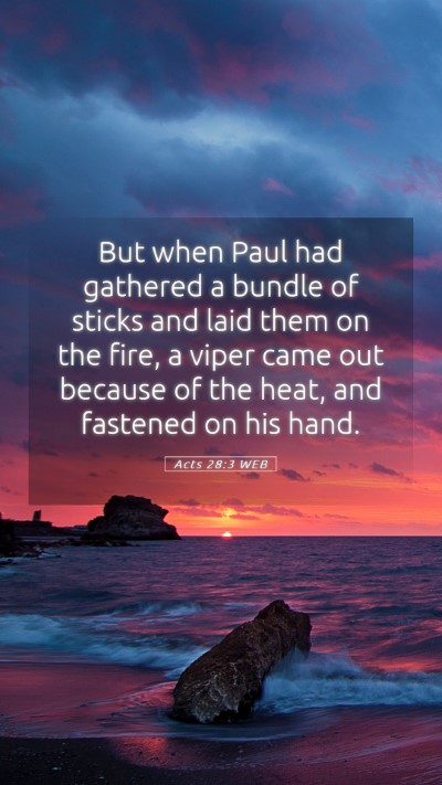 Picture 05 - Acts 28:3 WEB Mobile Phone Wallpaper - But when Paul had gathered a bundle of sticks and - Mobile Bible Verse Wallpaper