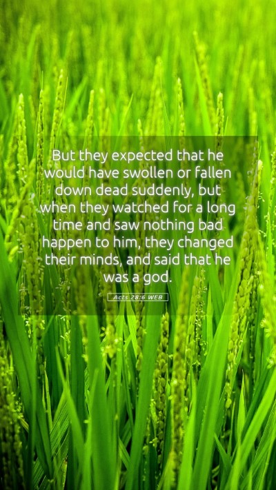 Picture 05 - Acts 28:6 WEB Mobile Phone Wallpaper - But they expected that he would have swollen or - Mobile Bible Verse Wallpaper