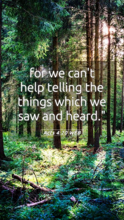 Picture 05 - Acts 4:20 WEB Mobile Phone Wallpaper - for we can't help telling the things which we saw - Mobile Bible Verse Wallpaper