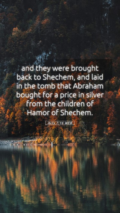 Picture 05 - Acts 7:16 WEB Mobile Phone Wallpaper - and they were brought back to Shechem, and laid - Mobile Bible Verse Wallpaper