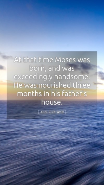 Picture 05 - Acts 7:20 WEB Mobile Phone Wallpaper - At that time Moses was born, and was exceedingly - Mobile Bible Verse Wallpaper