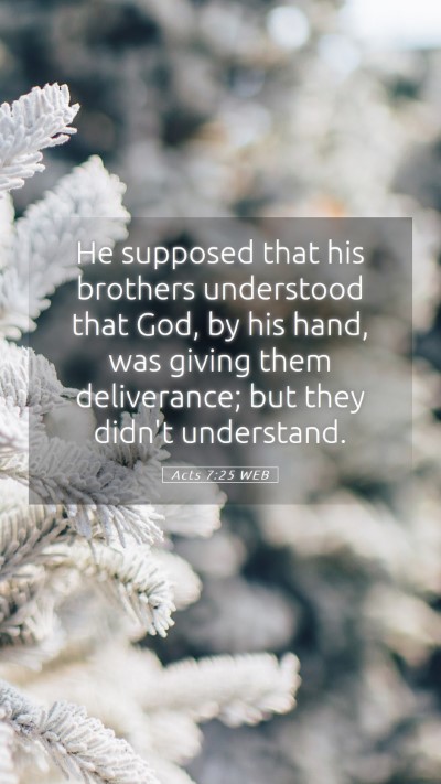 Picture 05 - Acts 7:25 WEB Mobile Phone Wallpaper - He supposed that his brothers understood that - Mobile Bible Verse Wallpaper