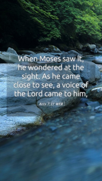 Picture 05 - Acts 7:31 WEB Mobile Phone Wallpaper - When Moses saw it, he wondered at the sight. As - Mobile Bible Verse Wallpaper