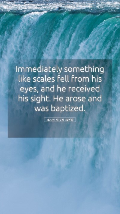 Picture 05 - Acts 9:18 WEB Mobile Phone Wallpaper - Immediately something like scales fell from his - Mobile Bible Verse Wallpaper