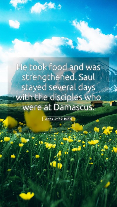 Picture 05 - Acts 9:19 WEB Mobile Phone Wallpaper - He took food and was strengthened. Saul stayed - Mobile Bible Verse Wallpaper